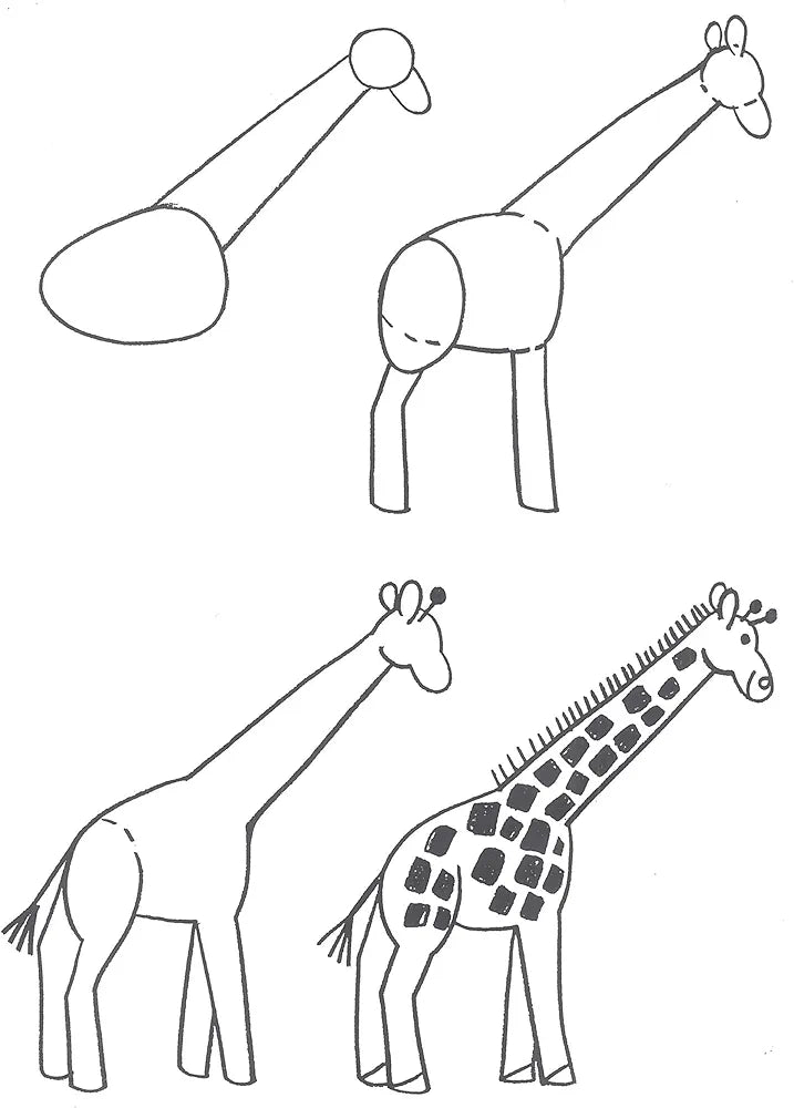 Barbara Soloff Levy - How to Draw Animals image 4