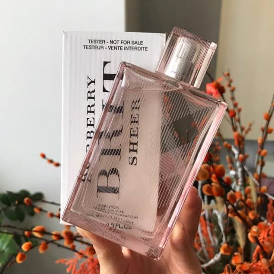 Burberry - Brit Sheer 100ml - Tester Box image 2