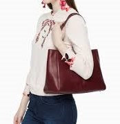 Kate Spade PXRU7629 - Robson Lane Anabel Tote in Cherry Wood image 2