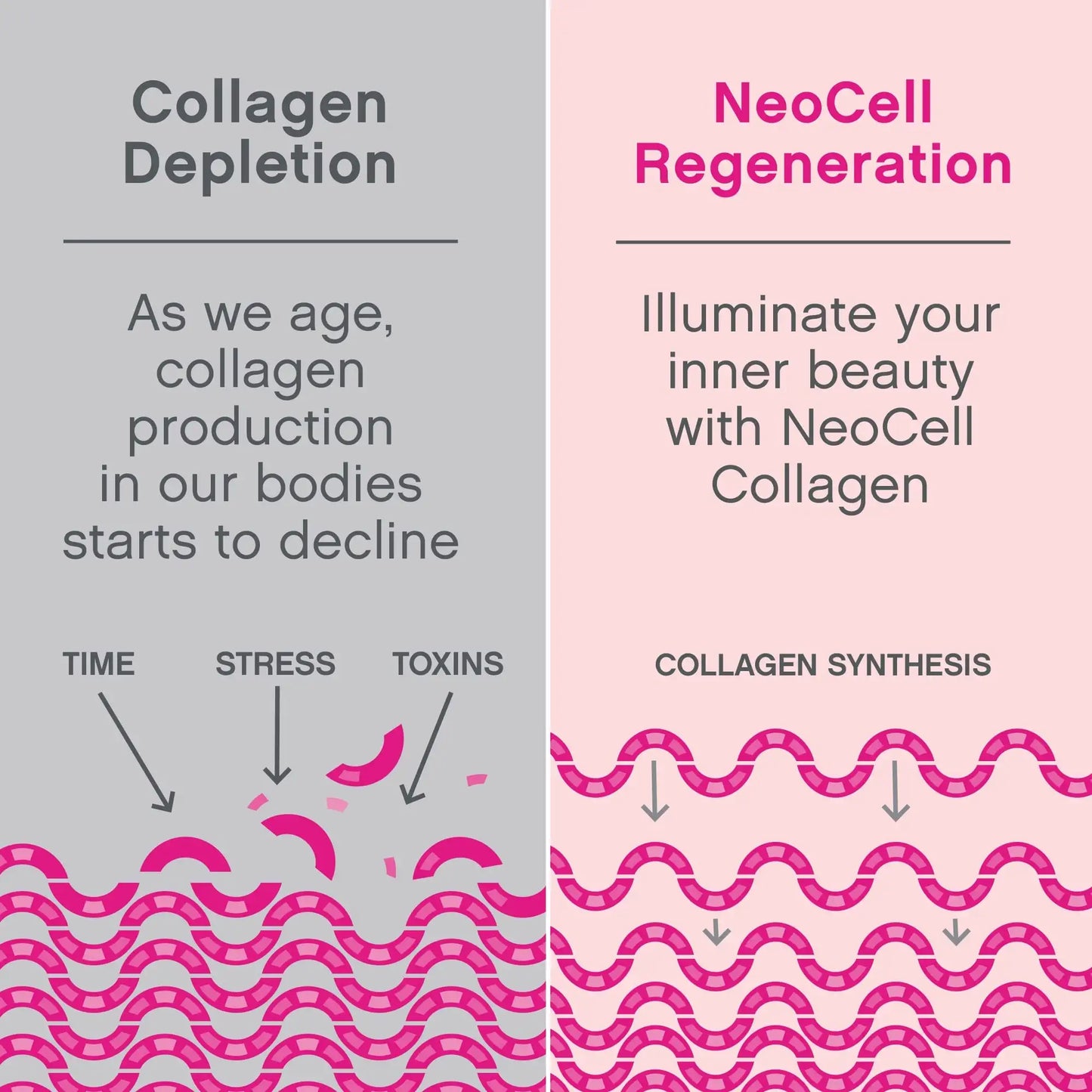 Neocell - Super Collagen Peptides - Collagen Type 1 & 3 | Pakistan image 5