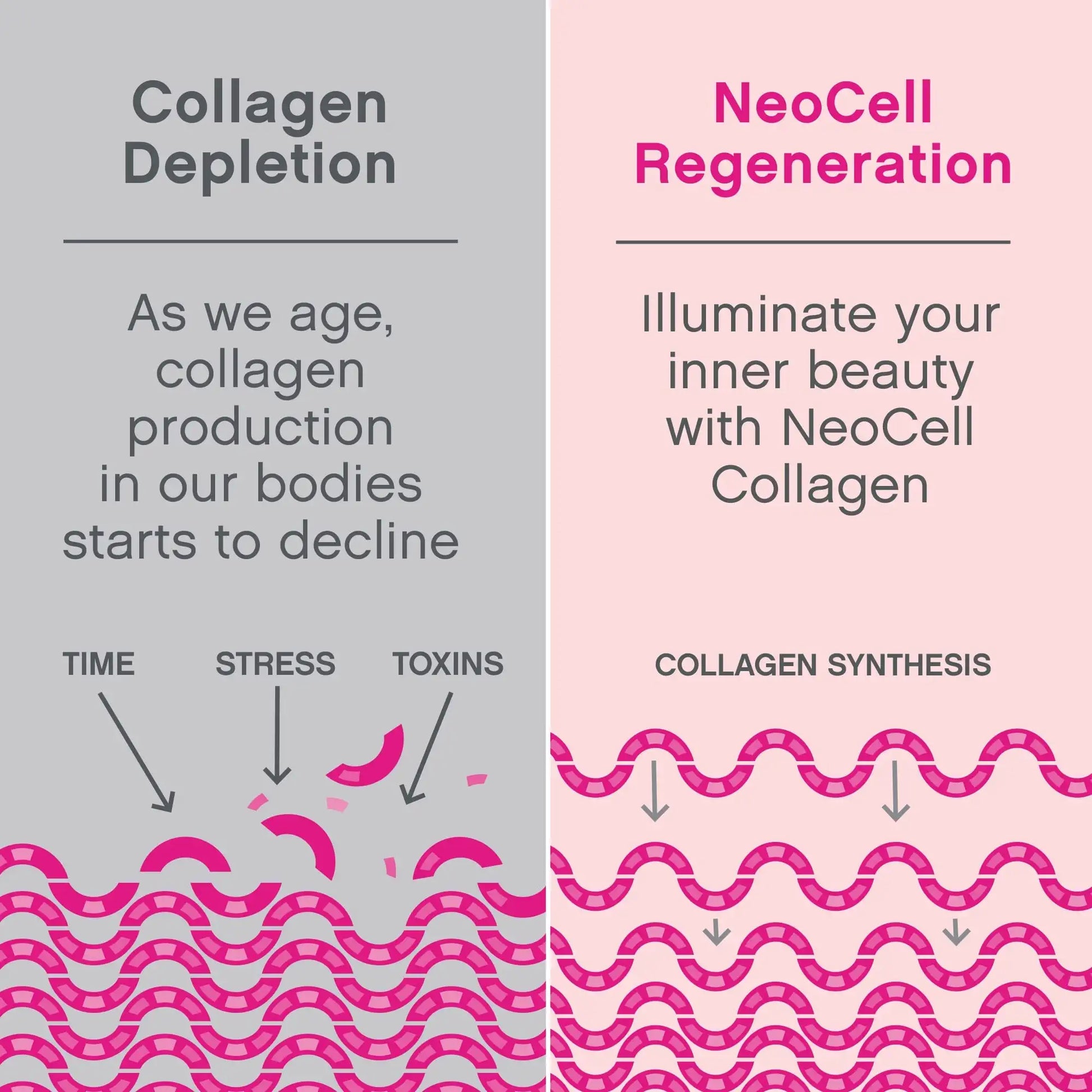 Neocell - Super Collagen Peptides - Collagen Type 1 & 3 | Pakistan image 5
