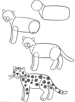 Barbara Soloff Levy - How to Draw Animals image 3