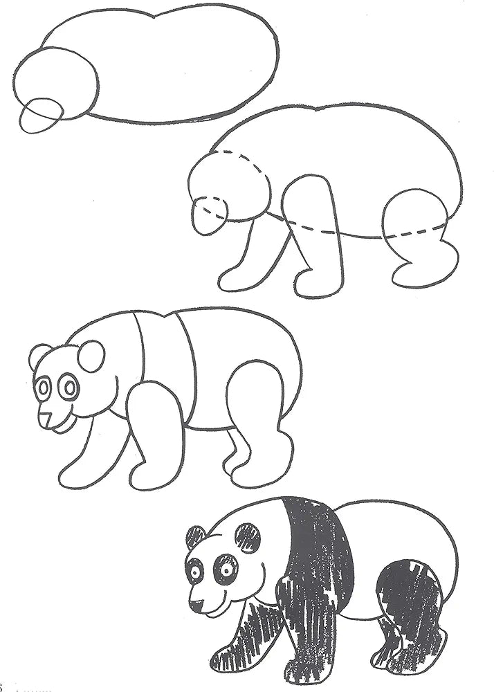 Barbara Soloff Levy - How to Draw Animals image 5
