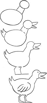 Barbara Soloff Levy - How to Draw Animals image 2