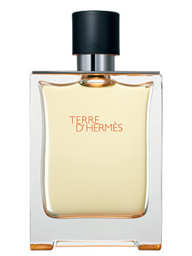Hermes - Terre D'Hermes EDT 100ml image 2