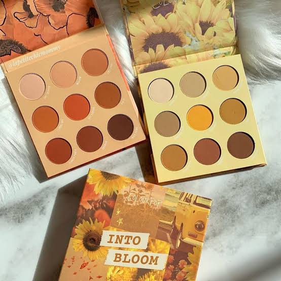 Colourpop - Into Bloom Duo Palette image 2