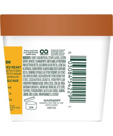 Garnier Fructis Nourishing Treat 1 Minute Hair Mask + Coconut Extract - 100 ml) image 1