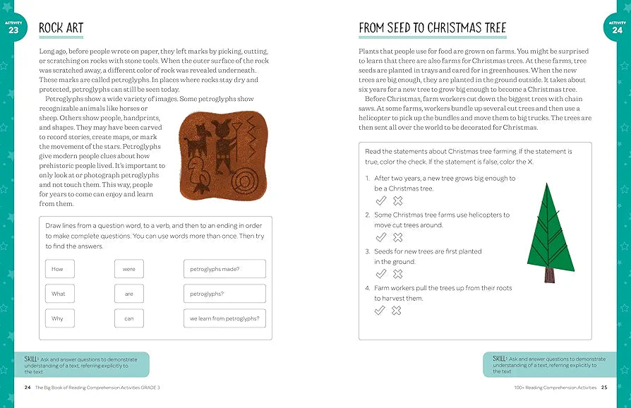 Hannah Braun - The Big Book of Reading Comprehension Activities, Grade 3 image 2