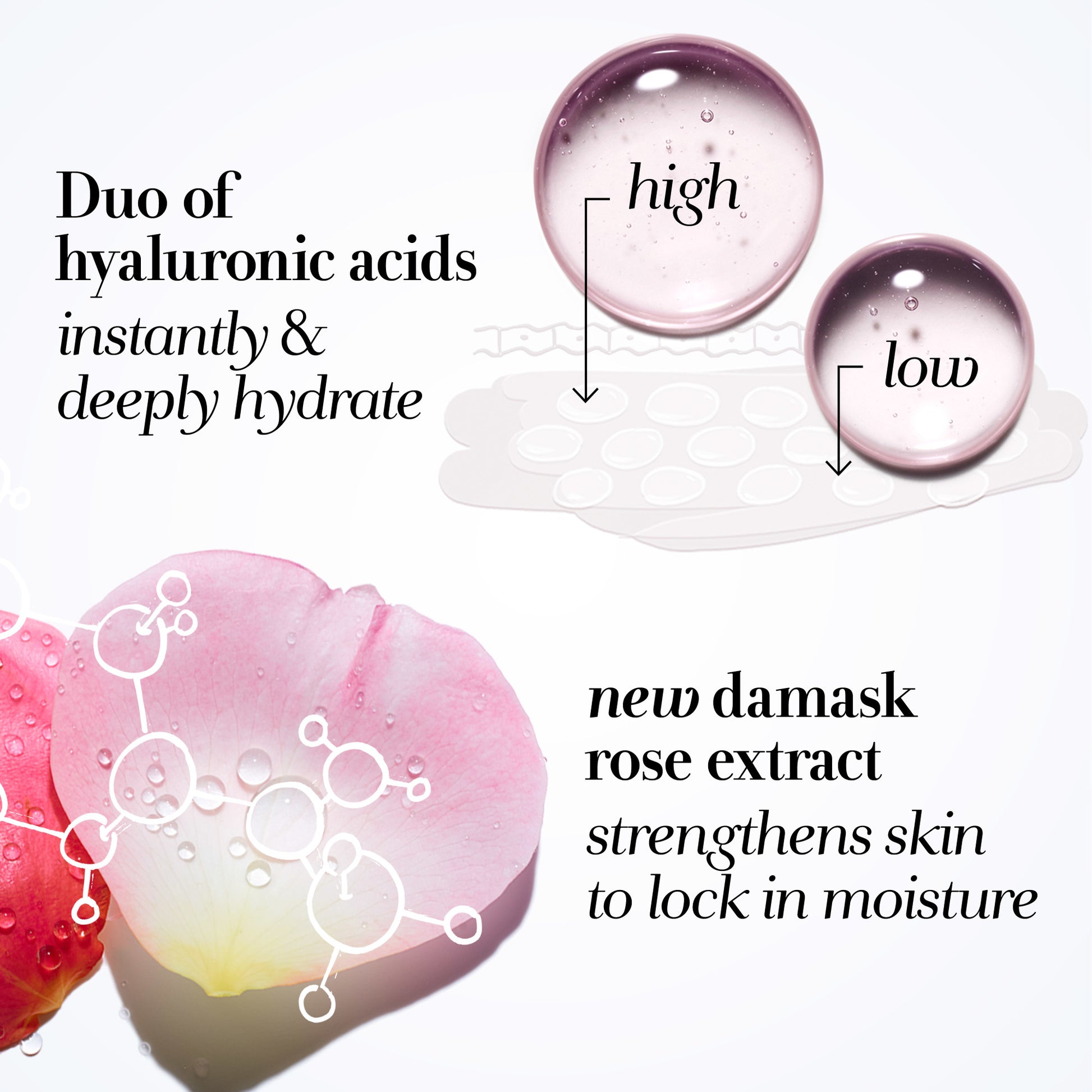 Fresh - Rose Deep Hydration Face Cream - 100ml image 1