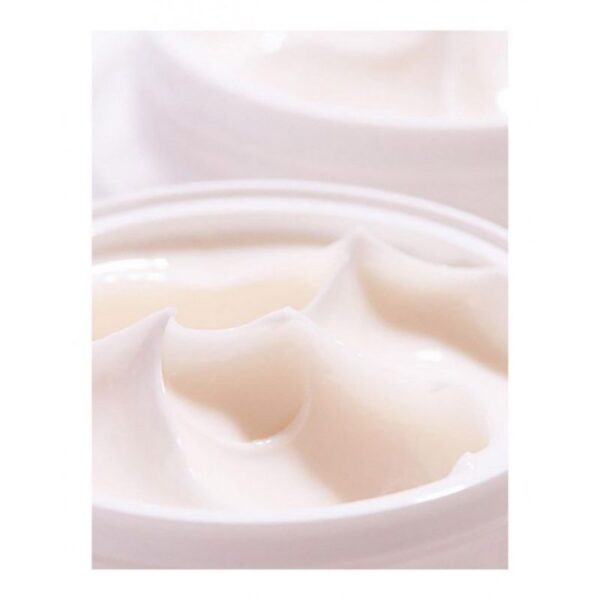 Honest Beauty - Hydrogel Cream - Image 2