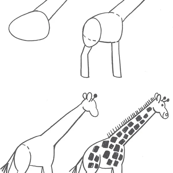 Barbara Soloff Levy - How to Draw Animals - Image 5