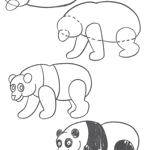 Barbara Soloff Levy - How to Draw Animals - Image 6